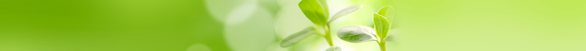 banner-sj