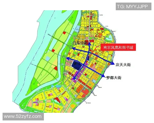 南京乒乓球队近期表现分析与未来发展趋势的深入探讨